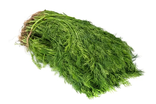 Bund Dille isolated,close-up of green dill herb on a white background