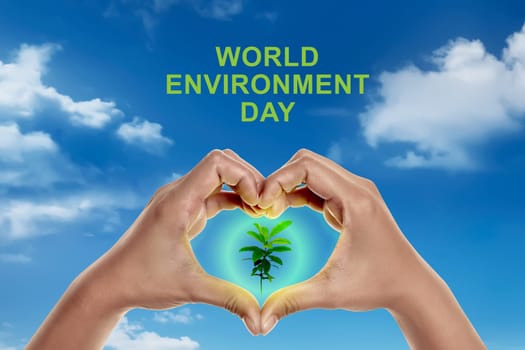 Hands with heart shape with green leaf inside it. World environment day concept