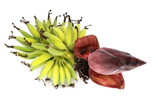 Fresh bananas from the tree,banana tree with flower