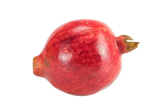 Pomegranate on white hindrung