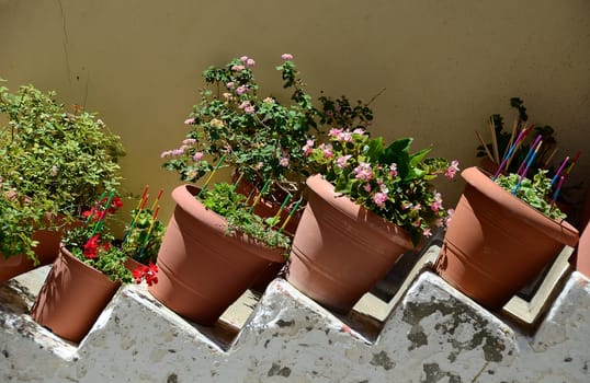 Flowerpots