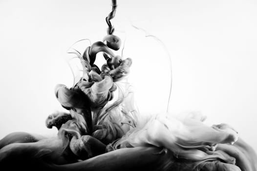 black and white splash on white background. It is a paint of splash in monochrome view.