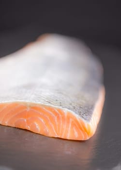 salmon