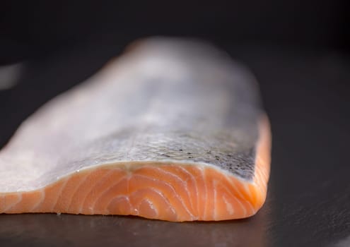 Salmon