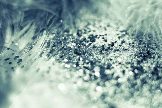 Soft feather with sparkles with artistic bright light and shadows. Soft blurred background of artistic close-up glitter macro image.