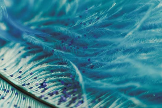 Soft feather with sparkles with artistic bright light and shadows. Soft blurred background of artistic close-up glitter macro image.