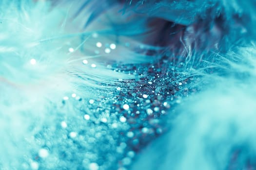 Soft feather with sparkles with artistic bright light and shadows. Soft blurred background of artistic close-up glitter macro image.