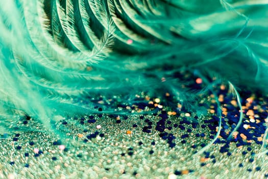 Soft feather with sparkles with artistic bright light and shadows. Soft blurred background of artistic close-up glitter macro image.