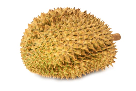 Durian,close-up of tropical stink fruit isolated on a white background