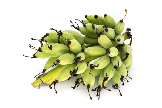 Fresh bananas with perennials,tropical fruit isolated on a white background