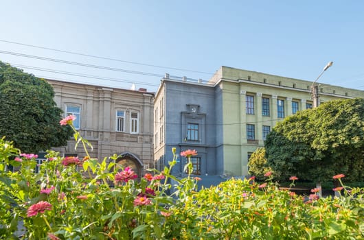 building with communism symbol behind flowers