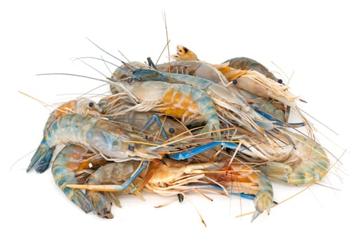 Shrimp on white background,close-up of crustaceans isolated