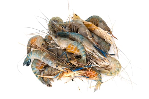 Shrimp on white background,close-up of crustaceans isolated