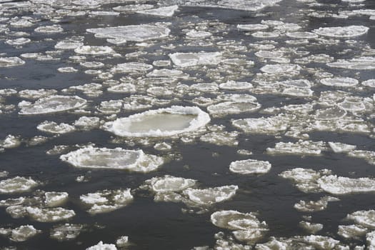 Ice floes on the river Elbe near Magdeburg on a cold winter day