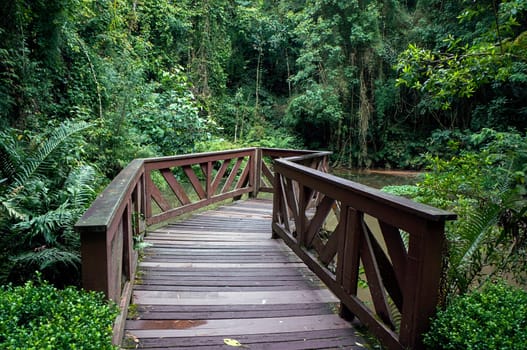 Bosque do alemao park german grove pond lake lookout wood bridge