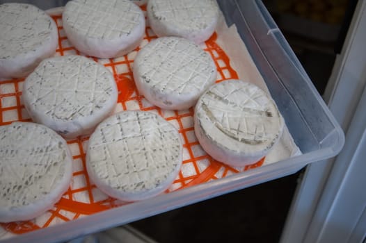 aging cheese heads with white and blue mold