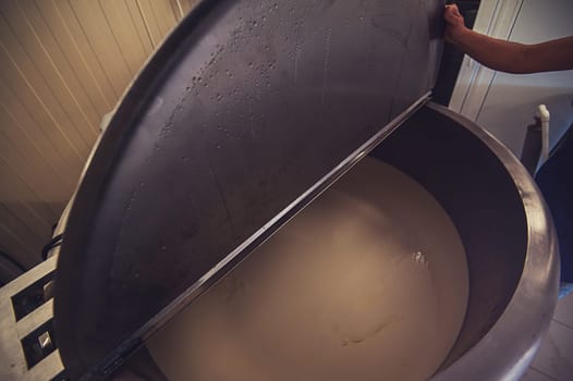 Cheese production at dairy farm, first stage - milk processing