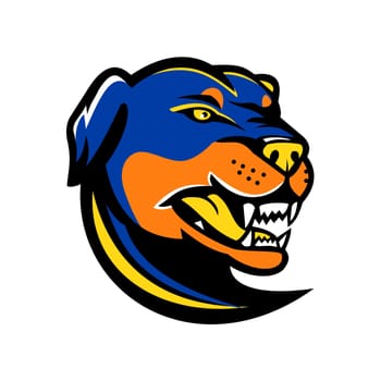 Mascot icon illustration of a head of angry rottweiler, a breed of domestic medium-to-large or large dog known in German as Rottweiler Metzgerhund, or Rottweil butchers' dogs done in retro style.