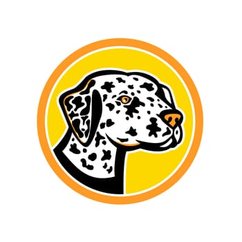 Mascot icon illustration of a Dalmatian, a breed of medium-sized black spotted dog, used as carriage dog with roots in Dalmatia region of  Croatia set inside circle isolated background in retro style.