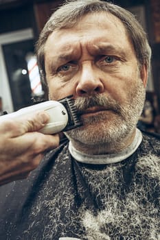 Close-up side view portrait of handsome senior bearded caucasian man getting beard grooming in modern barbershop. Hairdresser serving client, making beard haircut using shaving machine. Barber shop concept.