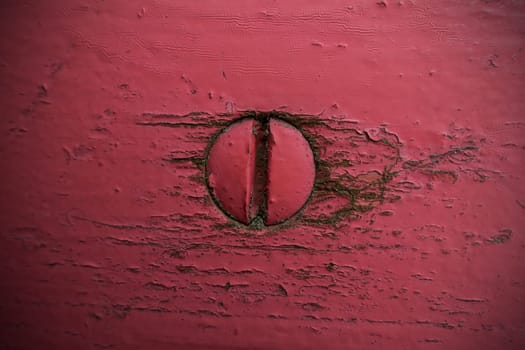 Screw head screwed in red painted wood