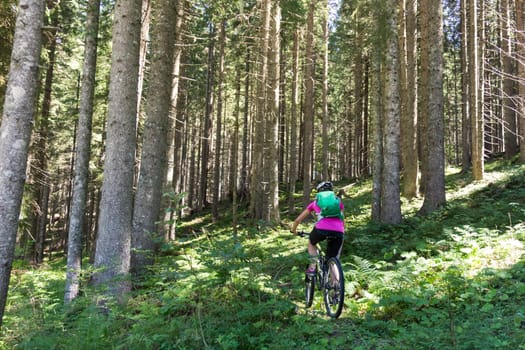 Active sporty woman riding mountain bike on demanding forest trail.