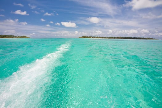 Holiday Paradise