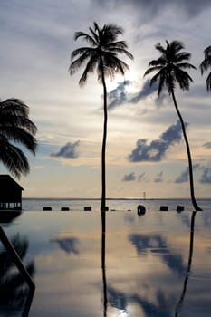 Holiday Paradise