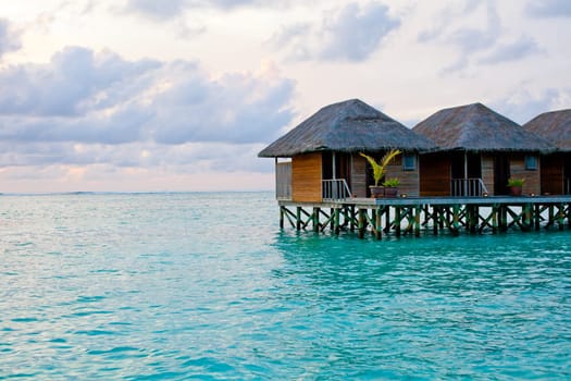 Holiday Paradise