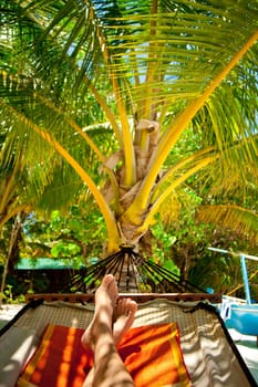 Holiday Paradise