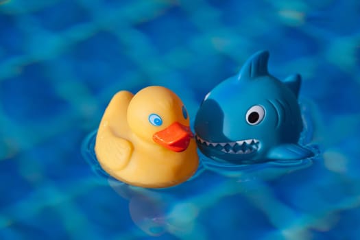 Blue Swimmingpool