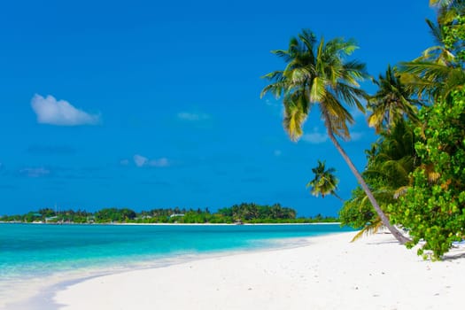 Holiday Paradise