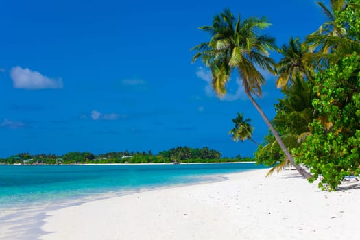 Holiday Paradise