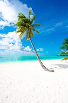 Holiday Paradise