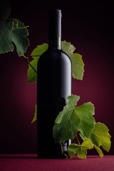 Excellent unlabeled red wine bottle with vine branch on red background