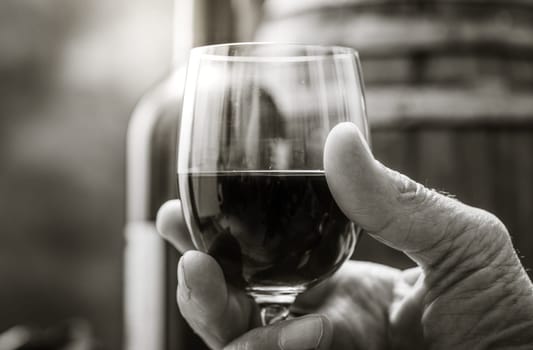 Senior man drinking a glass of expensive red wine in his cellar, wine bottle and barrel on the background, wine tradition and culture concept