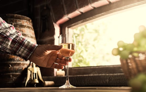 Expert farmer and wine maker tasting a glass of delicious white wine in the wine cellar and lush vineyard on the background