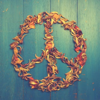 Peace sign of dried tulips petals on a blue rustic wooden background