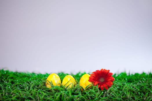 Easter Eggs on the meadow