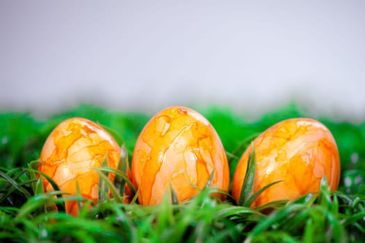 Easter Eggs on the meadow