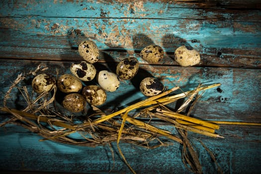 Quail Lye,Studio