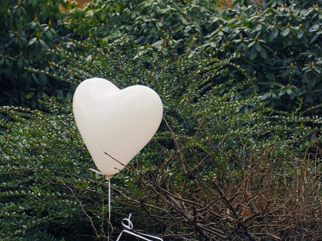 Heart shape white balloon, love concept with space for text