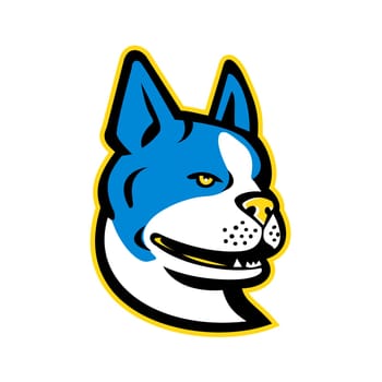Mascot icon illustration of head of a Boston Terrier, Boston Bull,Boston Bull Terrier, Boxwood or American Gentlemen, a breed of dog originating in United States on isolated background in retro style.