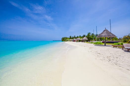 Palm trees on tropical beach in Maldives
