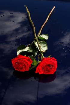 White and red roses, bouquet