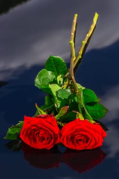 White and red roses, bouquet