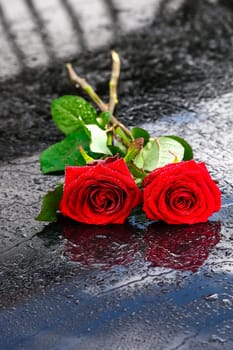White and red roses, bouquet