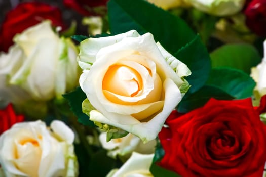 White and red roses, bouquet