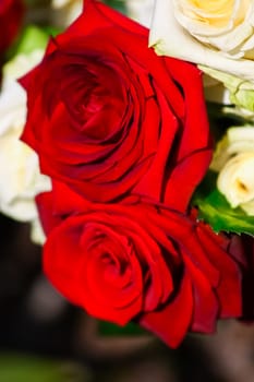 White and red roses, bouquet