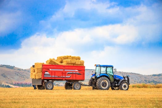 Hay wagon with hay bales on wheat field